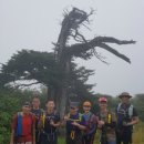 쉬멍 놀멍 자멍 | 백두대간10-6구간(차갓재~도래기재 , 2018.7.28~29일)