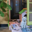 다미농원 이미지