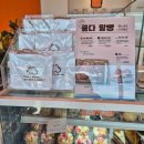 더 숲Ⅰ | 제주여행 3일차 Ⅰ 투어패스 노형수퍼마켙 웃뜨리 드르쿰다 시소카이막 상가리야자숲 면공장