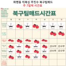 북구 팀매드 이미지