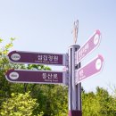 바다향기수목원(도서식물원) 이미지