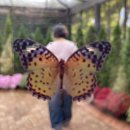 경충대로 9 | [2025.10.16.] 변사모♥ 화담숲 +25.10.29방문 후기도 조금 있슴^-^