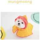 멍뭉(MUNGMOONG) 이미지