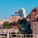 진남관 (건너) 이미지