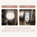 정평천-동일하이빌2,3,4단지 | 용인 기흥구 동백동 백현마을동일하이빌 아파트 화장실 물내림약한 변기교체 설치