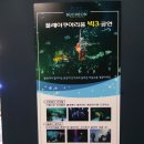 부천 아이와 가볼만한 곳 플레이아쿠아리움