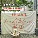 맘실외 | 서울숲 한입베이글 실외 애견동반 카페 솔직 후기! (사악한 가격, 분위기는 대박 🐶☕️)