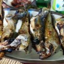 당근마차 이미지