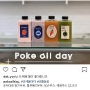 pokeallday 이미지