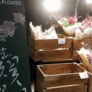 아울렛팀세븐 이미지