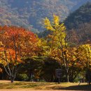 경상남도도청 이미지