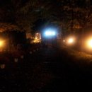 숲속의 섬 이미지