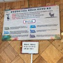 오여사네흑염소탕