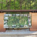 무릉계곡 2호 이미지