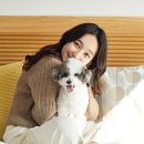 펫하우스 동물병원 이미지