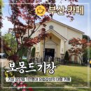 기장 보몽드 겹벚꽃 만개한 유럽감성 정원 카페 리뉴얼 후기