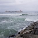 주문진 터미널앞 이미지