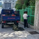 구평동-2 이미지