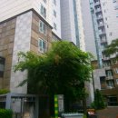 충주용산초등학교 이미지