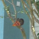 피자먹는날 이미지