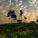 포리 소공원 이미지