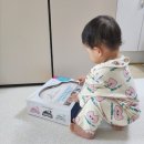 [장난감 리뷰] 돌아기 추천! 미니 그랜드 피아노 베이블 퓨어리 그랜드 피아노(베이직) 후기