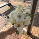 씨유 영도흰여울문화마을점 | [공지] 부산야외스냅 채움스냅 영도 흰여울문화마을 촬영후기