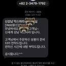 전율광택 | 막스마라 카로 비스코스 드레스 추천 후기 착용샷