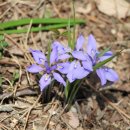 헌복동2 이미지