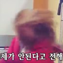 상상고양이 이미지