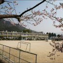 병곡초등학교 이미지