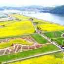 낙동강변14 이미지