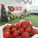 (주)드림팜 | [파주] 세 번째 방문한 파주딸기드림팜 딸기 진짜 맛있는 곳에서 아기랑 딸기 따기 체험