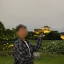 달빛아래탱고 | 2024 수원 달빛음악회 '소소한 음악 피크닉 후기' 추후 일정 및 주차장 정보