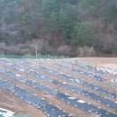 귀선농장 이미지