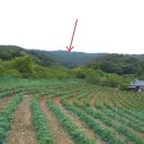 동해시-42 이미지