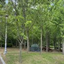 원적산체육공원 이미지