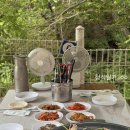 고둔치솔가