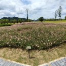 송가인공원 이미지