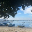 댕's day | 먹어보홀래~?