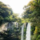 은향공인중개사사무소 이미지