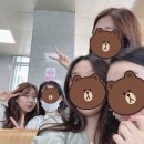 고흥 가볼만한 곳 l 고흥 쑥섬 후기/힐링파크 쑥섬쑥섬/고흥 수국/고흥 여행