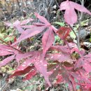 삼가2통 이미지