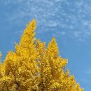 (주)스시우미 잠실 | 잠실 오마카세 스시우미 만족 후기