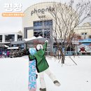장구 중급 | 평창 휘닉스파크 렌탈샵 리프트권 시간 가격 할인 패키지 필굿