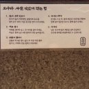 용산-이촌-1490 | 용산 칼국수 맛집 보야타 내돈내산 후기