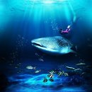 아쿠아플라넷 제주 이미지