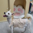 멍아지트 이미지