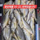 🚨 9월15일부터 할인 종료됩니다. 정상가격으로 판매예정🚨 이미지