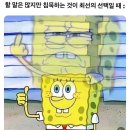 날으는 과일 이미지